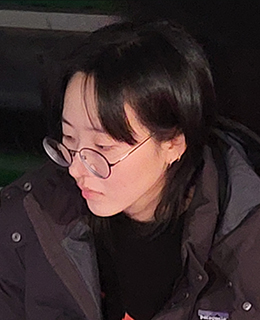 ̹